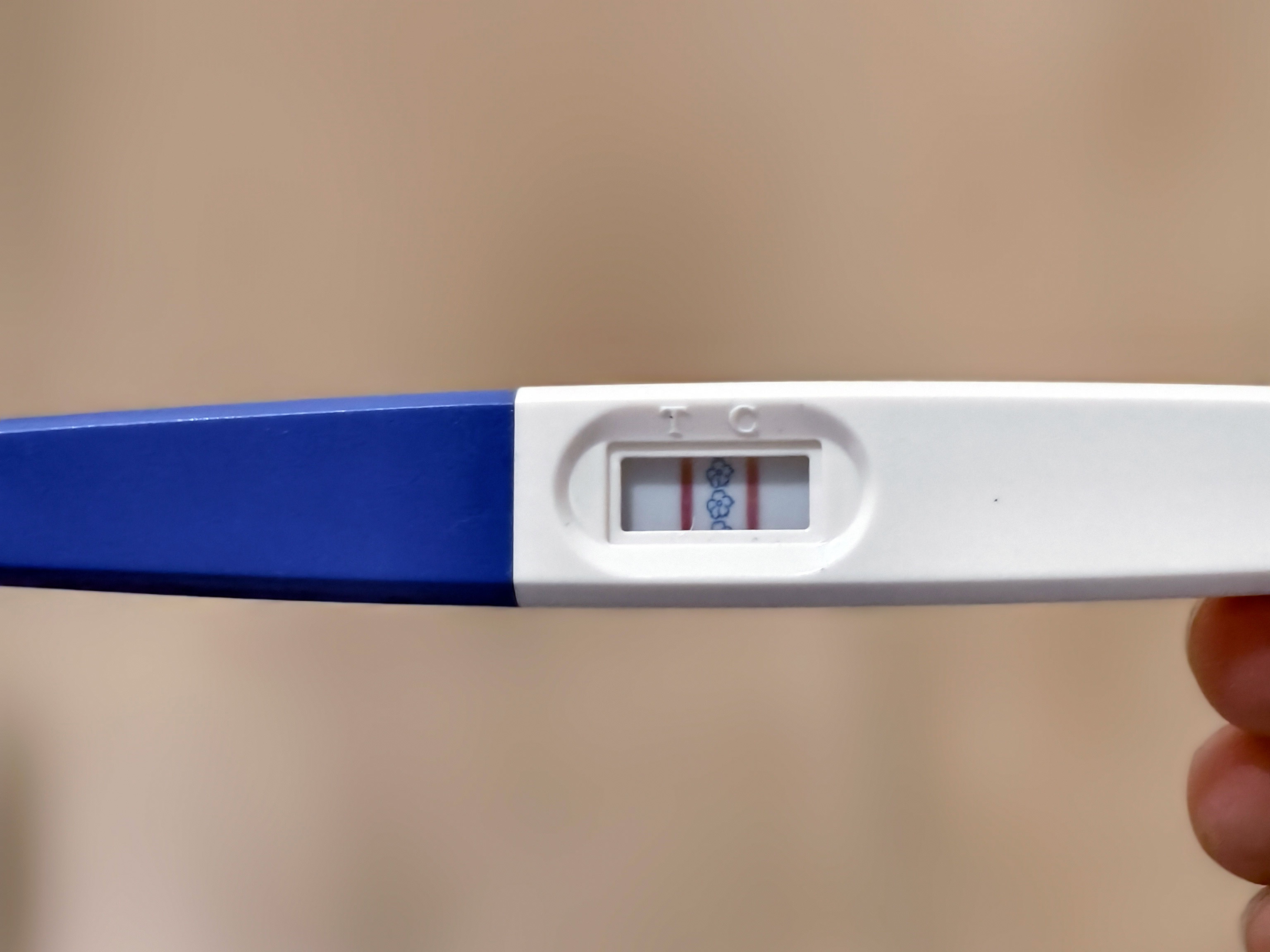 pregnancy-test-result.jpg